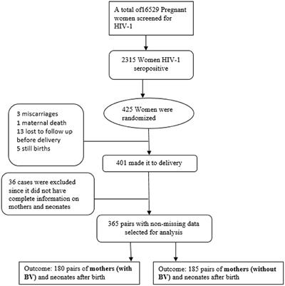 Effect of Bacterial Vaginosis (BV)-HIV-1 Co-existence on Maternal and Infant Health: A Secondary Data Analysis